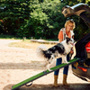 Dog Car Ramp Benefits, Slip Proof for Large Dogs