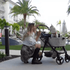How to Introduce and Train Your Dog to Use a Doggy Pram