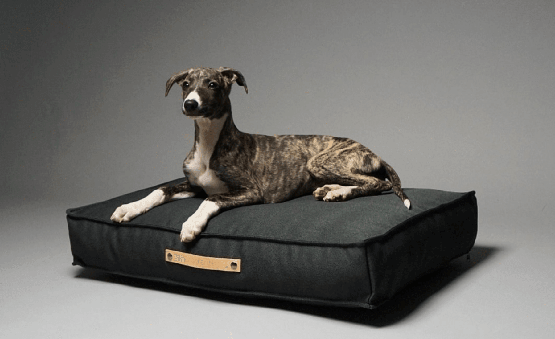 10 Luxury & Orthopedic Dog Beds 2023 UK