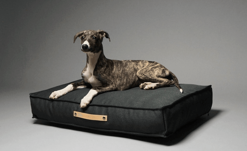10 Luxury & Orthopedic Dog Beds 2023 UK
