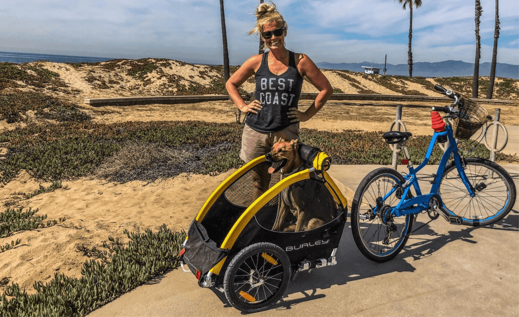 5 Best Dog Bike Trailers 2023 compared, cycle with your best buddy anywhere!