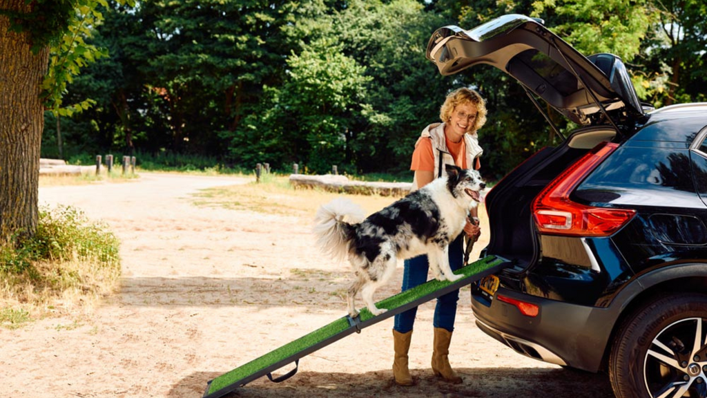 Dog Car Ramp Benefits, Slip Proof for Large Dogs