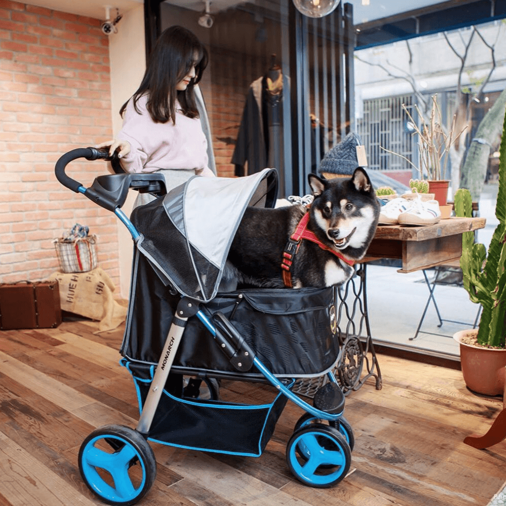 Best Dog Strollers for Large Dogs, 5 Reasons You Need One