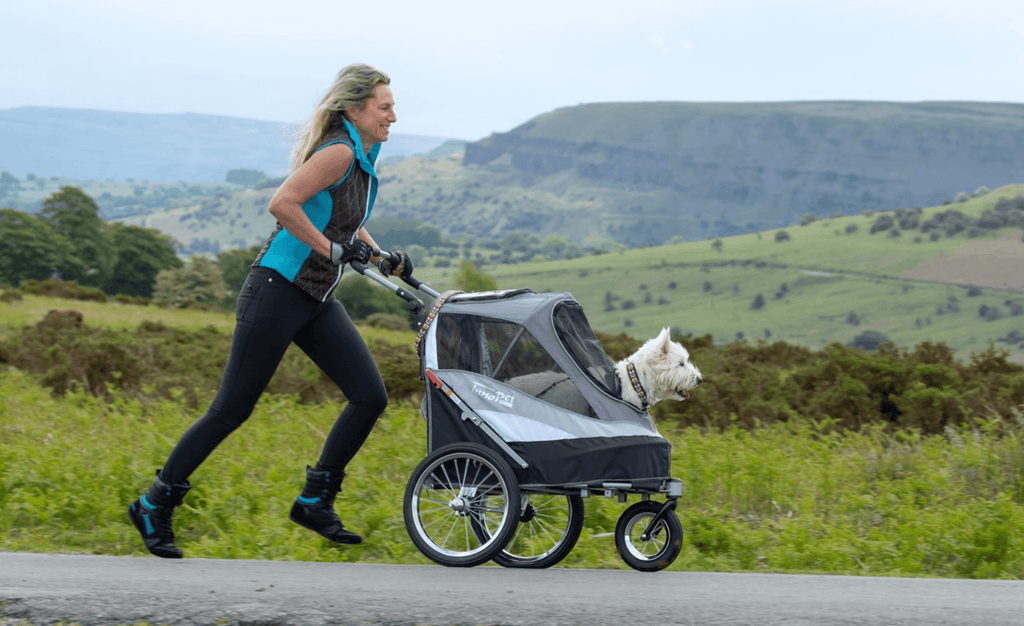 Best Doggy Prams & Dog Stroller Compared