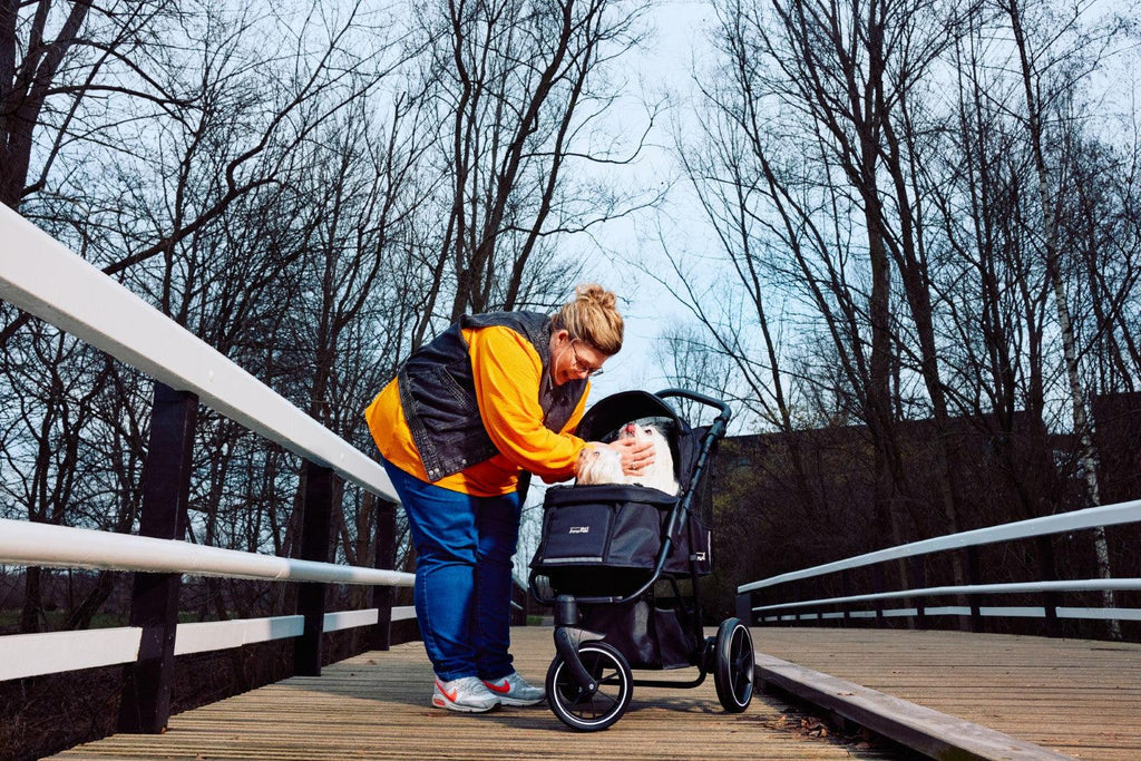 Dog Strollers & Prams for your Breed in the UK 2023