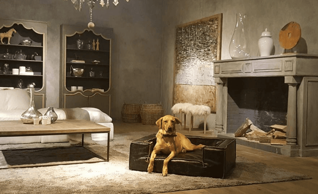Luxury Dog Beds & Sofas
