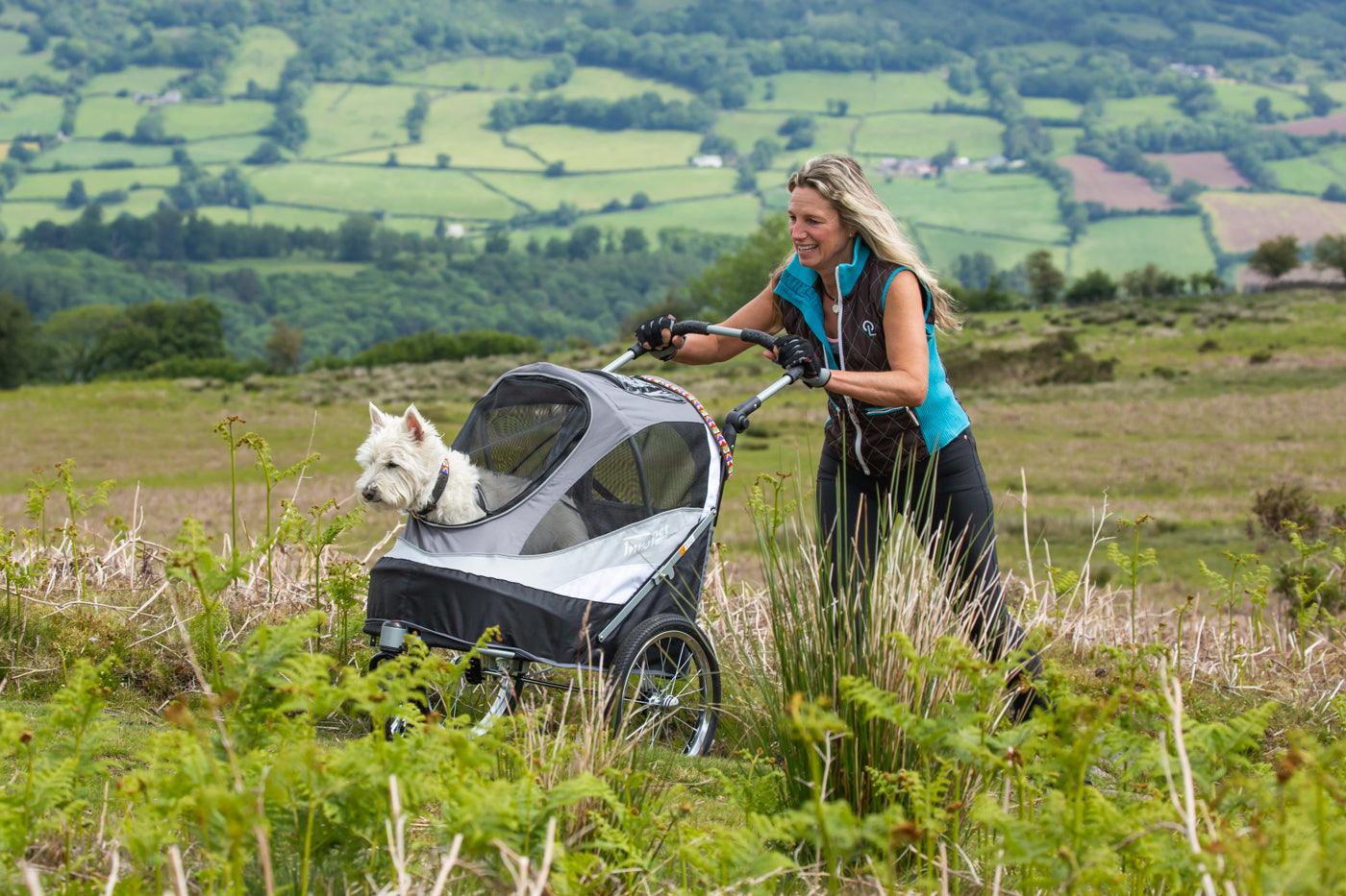 Sporty Dog Stroller, Paw-fect solution for Yogi