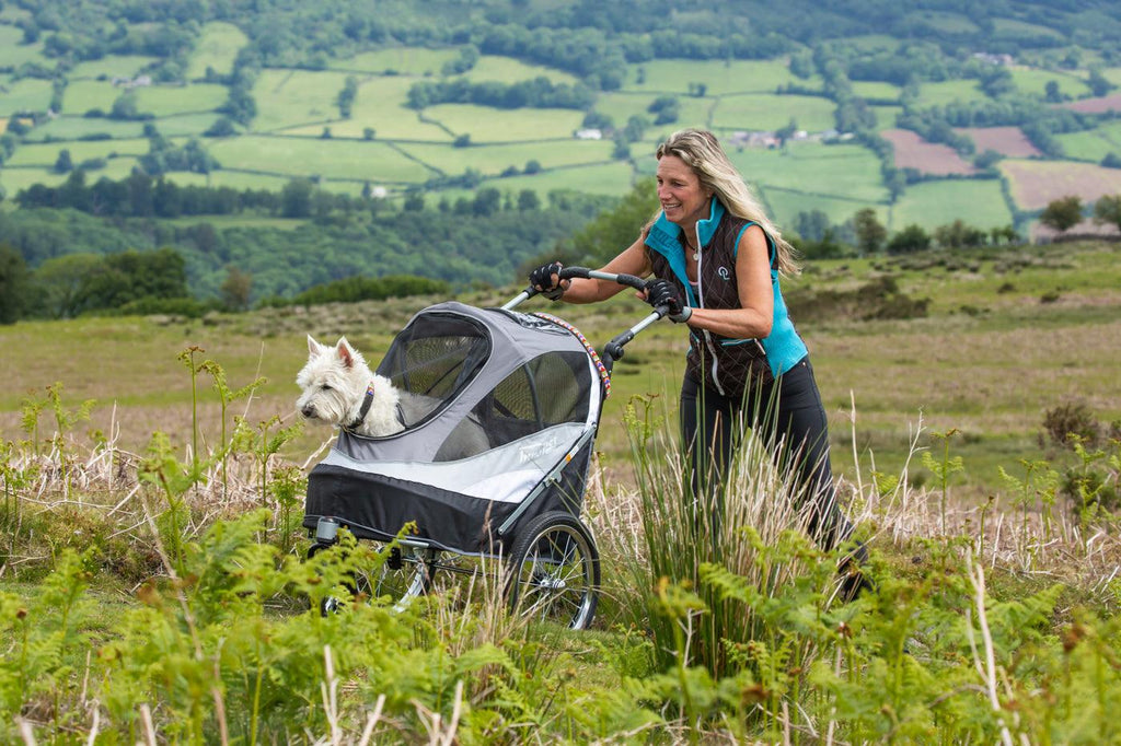 Sporty Dog Stroller, Paw-fect solution for Yogi