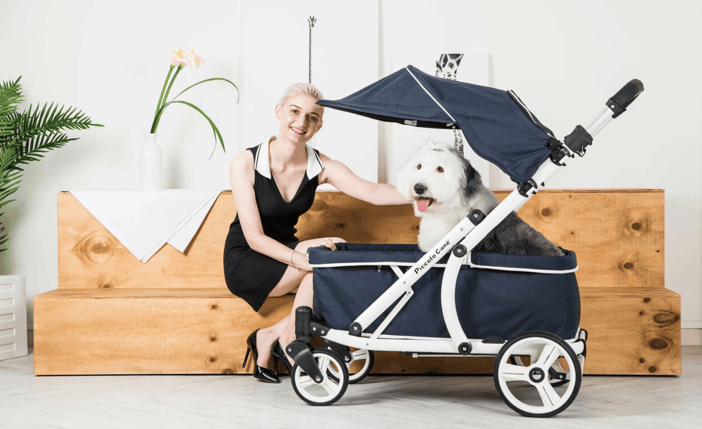Tips to consider before purchasing a Dog Buggy Stroller