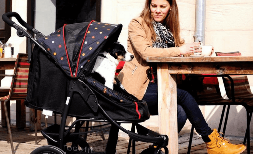 Top Dog Stroller in the UK, The Pet Roadster from Hauck, Germany
