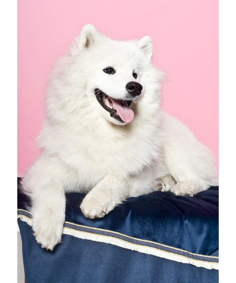 Allure Travel Mat LUXURY by Oh Charlie - Navy Blue - Pets Own Us - Oh Charlie - United Kingdom