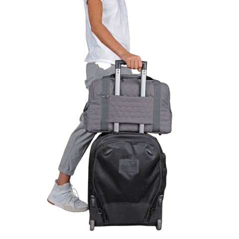Arthur Airline Pet Carrier by Muffin & Berry - Pets Own Us - Muffin & Berry - United Kingdom