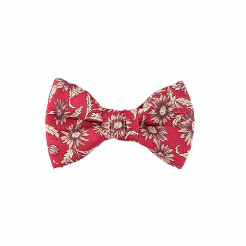 Baker & Bray | Daisy Dog Dog Bow Tie | Red - Pets Own Us - Baker & Bray - BB-31-12-03-L United Kingdom