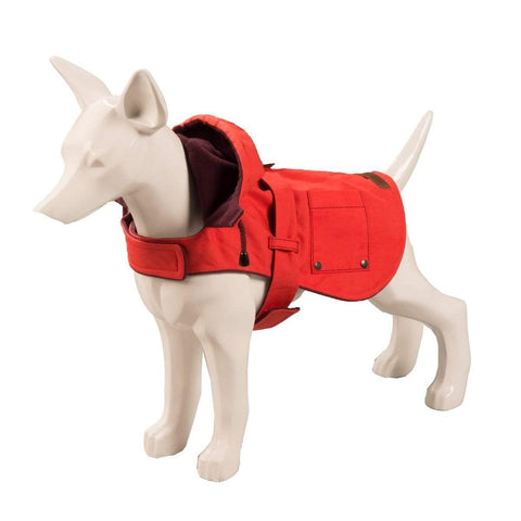Baker & Bray | Hampstead Dog Hoodie | Raspberry/Burgundy - Pets Own Us - Baker & Bray - BB-11-03-02-M United Kingdom