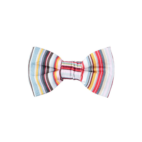 Baker & Bray | Striped Dog Dog Bow Tie | Navy - Pets Own Us - Baker & Bray - BB-31-10-01-M United Kingdom