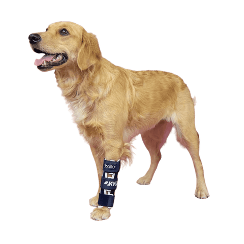 Balto® Bone – Fracture Brace - Pets Own Us - Balto - BTBONEXS United Kingdom