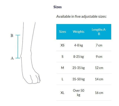 Balto® Joint – Carpal Compression Band - Pets Own Us - Balto - BTJOINTXS United Kingdom