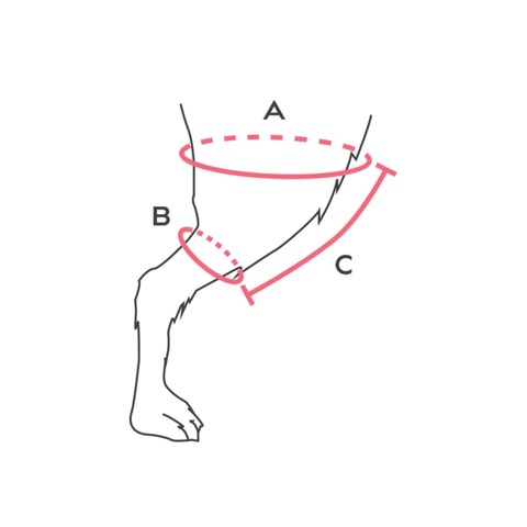 Balto® Jump – Knee Brace [Left & Right] - Pets Own Us - Balto - BTJUMPXXSL United Kingdom