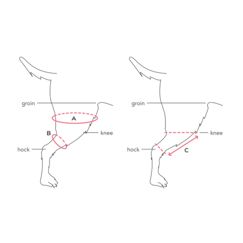 Balto® Ligatek – Adjustable Hinged Knee Brace - Pets Own Us - Balto - BTLIGSL United Kingdom