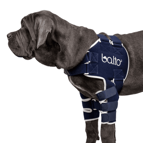Balto® Lux – Shoulder Brace - Pets Own Us - Balto - BTLUXXS United Kingdom