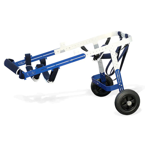 Balto® Off-Road – Adjustable Orthopedic Wheelchair - Pets Own Us - Balto - BTOFFROADS United Kingdom