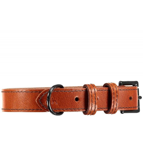 Camden Dog Collar by Baker & Bray - Tan - Pets Own Us - Baker & Bray - BB-41-01-09-XS United Kingdom