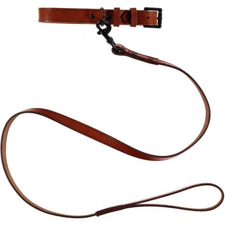Camden Dog Collar by Baker & Bray - Tan - Pets Own Us - Baker & Bray - BB-41-01-09-XS United Kingdom