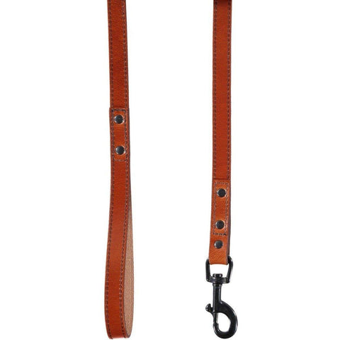 Camden Dog Lead by Baker & Bray - Tan - Pets Own Us - Baker & Bray - BB-52-01-12 United Kingdom