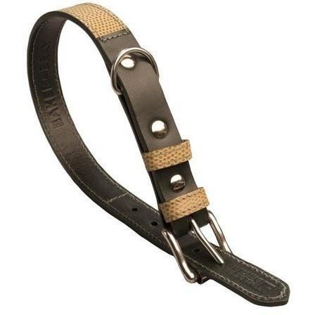Chelsea Dog Collar by Baker & Bray - Musgo/Green - Pets Own Us - Baker & Bray - BB-41-01-05-XS United Kingdom
