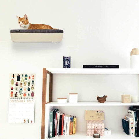CHILL Cat Shelf & Perch By Cosy and Dozy - Maple (Cushions available in Multiple Colours) - Pets Own Us - Cosy and Dozy - United Kingdom