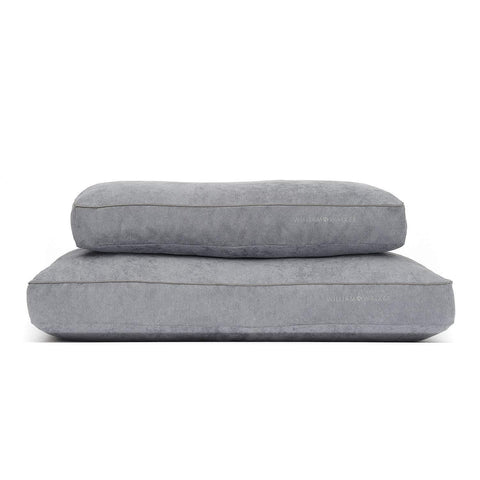 Chill Dog Cushion by William Walker - Pets Own Us - William Walker - 320001 United Kingdom