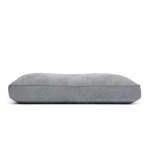 Chill Dog Cushion by William Walker - Pets Own Us - William Walker - 320001 United Kingdom