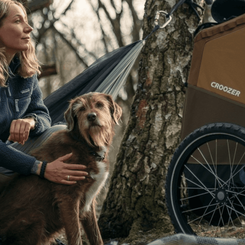 Croozer Tammo Dog Bike Trailer | X-Large | Dogs up to 45kg | Sundown Yellow | 2023 - Pets Own Us - Croozer - 121005522 United Kingdom