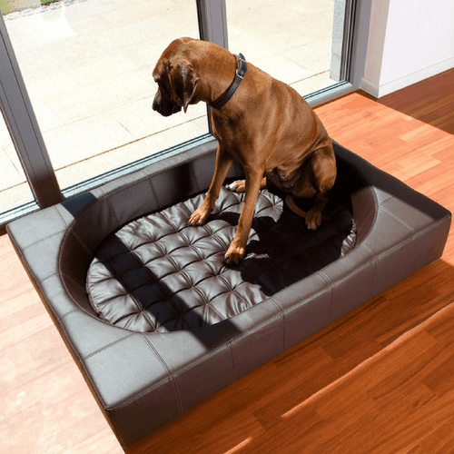 Cube Faux Leather Luxury Dog Bed By Pet Interiors - Pets Own Us - Pet Interiors - United Kingdom