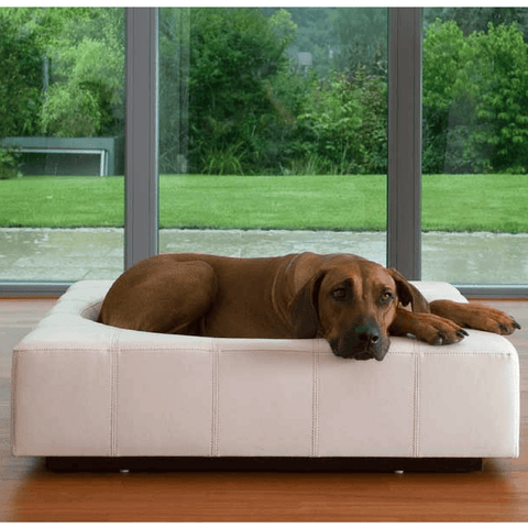 Cube Leather Luxury Dog Bed By Pet Interiors - Pets Own Us - Pet Interiors - United Kingdom