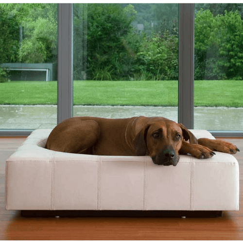Cube Leather Luxury Dog Bed By Pet Interiors - Pets Own Us - Pet Interiors - United Kingdom