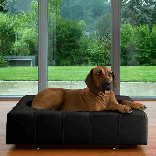 Cube Leather Luxury Dog Bed By Pet Interiors - Pets Own Us - Pet Interiors - United Kingdom