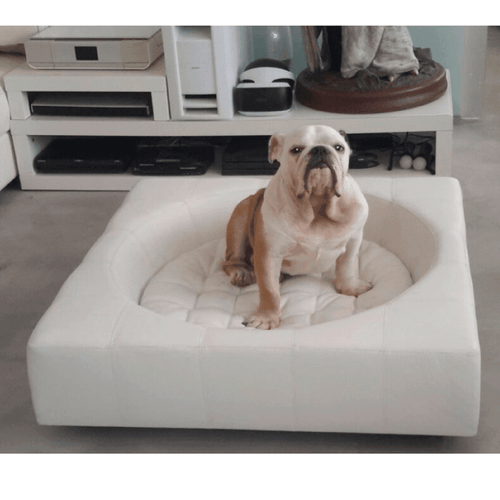 Cube Leather Luxury Dog Bed By Pet Interiors - Pets Own Us - Pet Interiors - United Kingdom