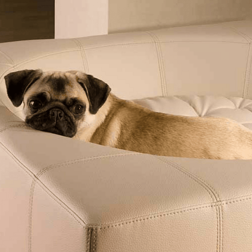 Cube Leather Luxury Dog Bed By Pet Interiors - Pets Own Us - Pet Interiors - United Kingdom