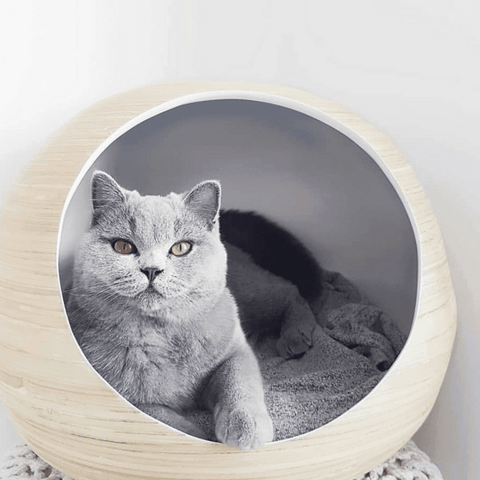 Dandy Bamboo Ball Cat Cave - Pets Own Us - Dandy Cat - United Kingdom