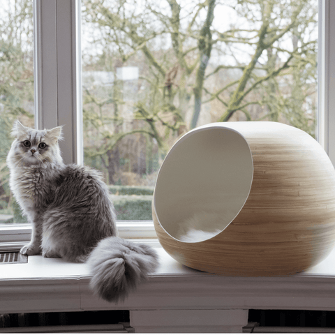 Dandy Bamboo Ball Cat Cave - Pets Own Us - Dandy Cat - United Kingdom