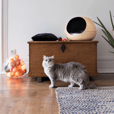 Dandy Bamboo Ball Cat Cave - Pets Own Us - Dandy Cat - United Kingdom