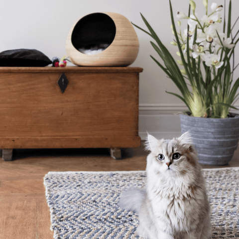 Dandy Bamboo Ball Cat Cave - Pets Own Us - Dandy Cat - United Kingdom
