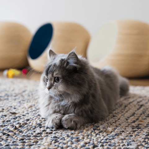 Dandy Bamboo Ball Cat Cave - Pets Own Us - Dandy Cat - United Kingdom
