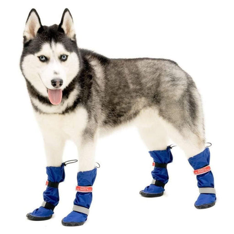 Dog Wellies Walkin’ All-Weather Boots - Set - Pets Own Us - Wheels4Dogs - United Kingdom