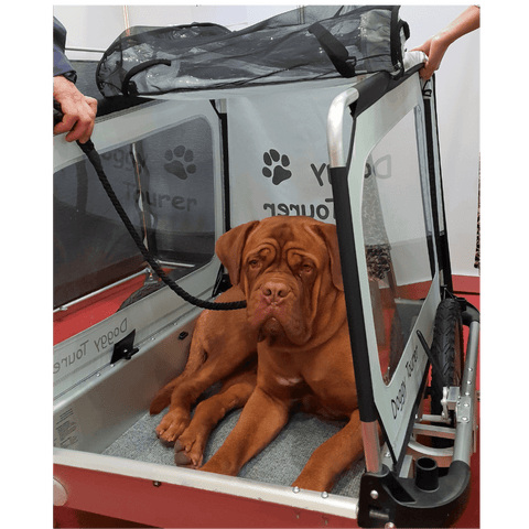 Doggy Tourer | Dog Bike Trailer | Marley | L - Pets Own Us - Doggy Tourer - United Kingdom