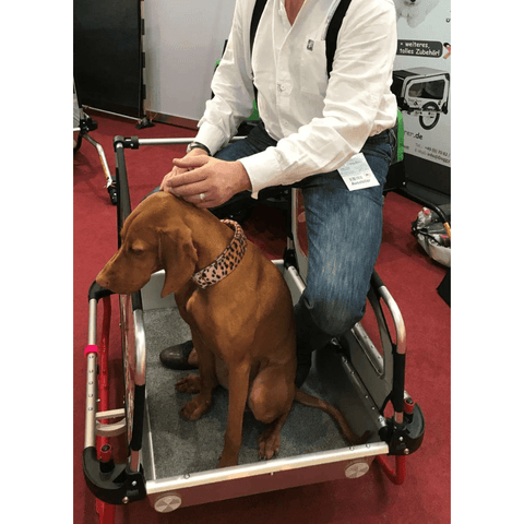Doggy Tourer | Dog Bike Trailer | Snoopy | M - Pets Own Us - Doggy Tourer - KD-111000 United Kingdom