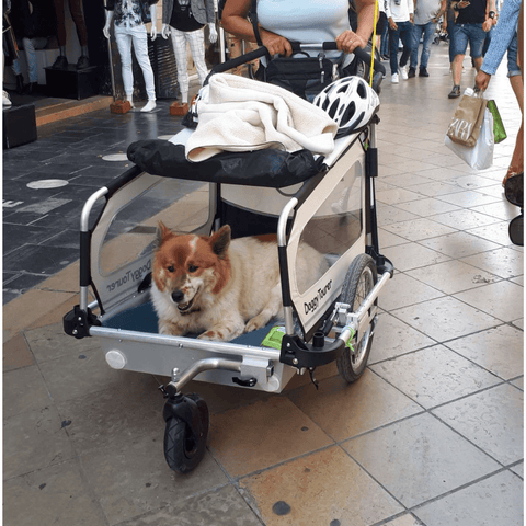 Doggy Tourer | Dog Bike Trailer | Snoopy | M - Pets Own Us - Doggy Tourer - KD-111000 United Kingdom