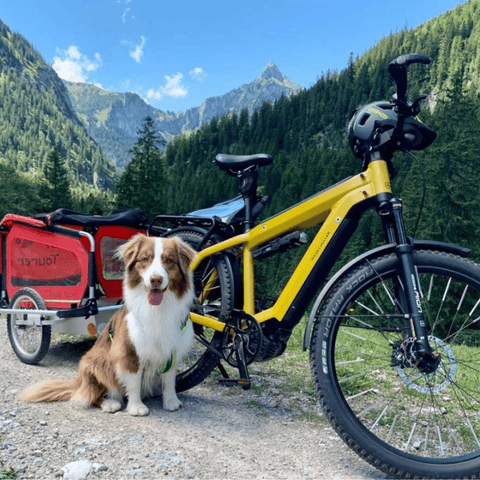 Doggy Tourer | Dog Bike Trailer | Snoopy | M - Pets Own Us - Doggy Tourer - KD-111000 United Kingdom