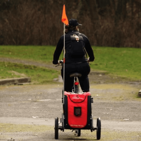 DoggyRide Mini 2020 Dog Bike Trailer | Red | Axle Coupling | Dutch Dog Design® - Pets Own Us - Dutch Dog - DRMNTR22-RD United Kingdom